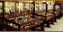 Imagen museo minerales